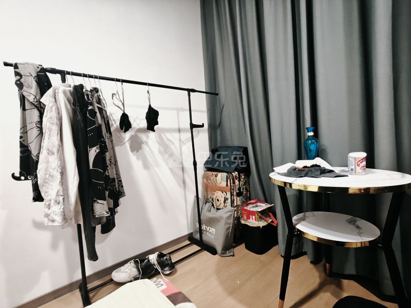 华迈公寓18361159客厅图2