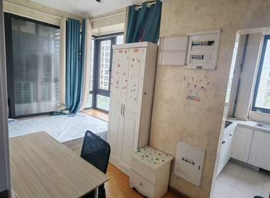 海德公园 1室1厅1卫