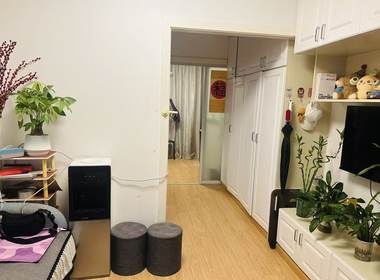 梅林小区（翔殷路280弄） 1室1厅1卫