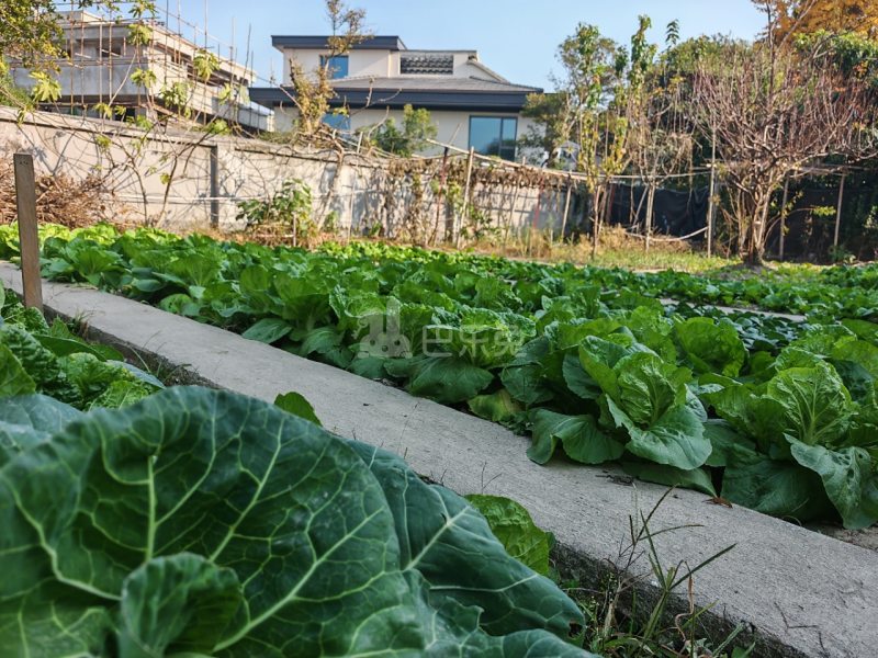 利源小区18370147周边环境图2