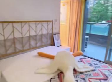 红街公寓（小区） 