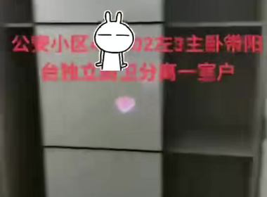 鲁陈路3955弄小区（公安小区） 