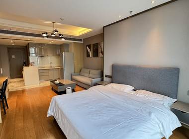 世包国际中心公寓 