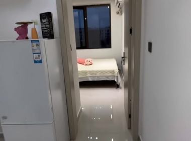 花园新宸府 1室1厅0卫