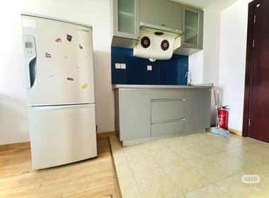 剑桥公社 1室0厅0卫