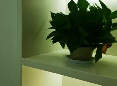 朗诗花漫里（阳光绿色雅苑） 1室1厅0卫