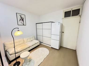 国顺路389弄 1室1厅0卫