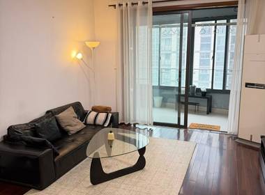 新湖明珠城 2室2厅1卫