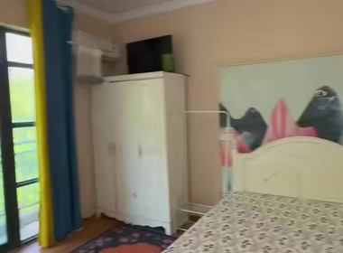 奥兰多小镇揽亭苑 