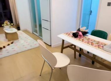 臻涛名府 1室1厅1卫