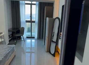 众安理想湾 1室1厅0卫