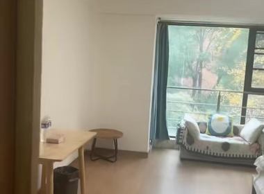 祥源福邸（金通路1736弄） 1室0厅1卫