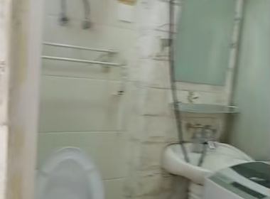 新华村薛家宅（民房） 