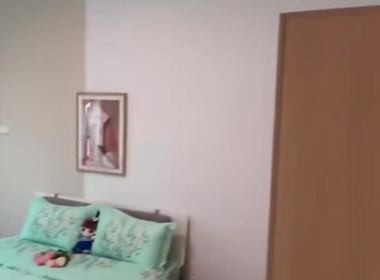 东苑半岛花园（虹莘路2058弄） 