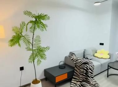 中远两湾城 1室0厅1卫