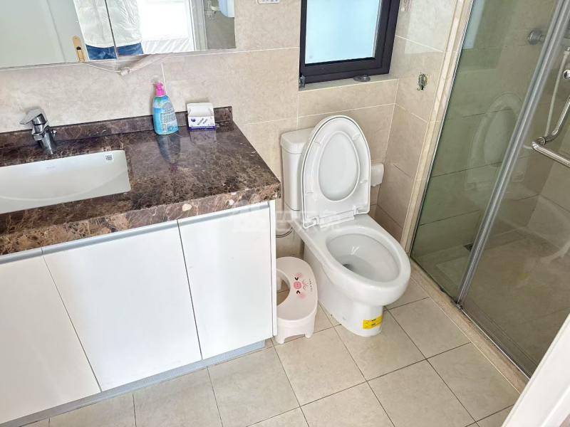 中天万科启宸18473431周边环境图3