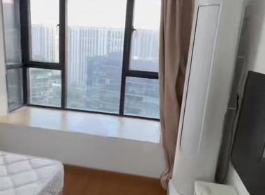 新中宇维萨（维萨新筑） 3室1厅0卫