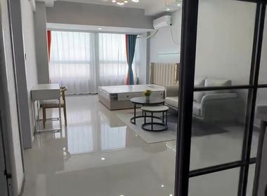 龙禧国际名宅 1室1厅1卫