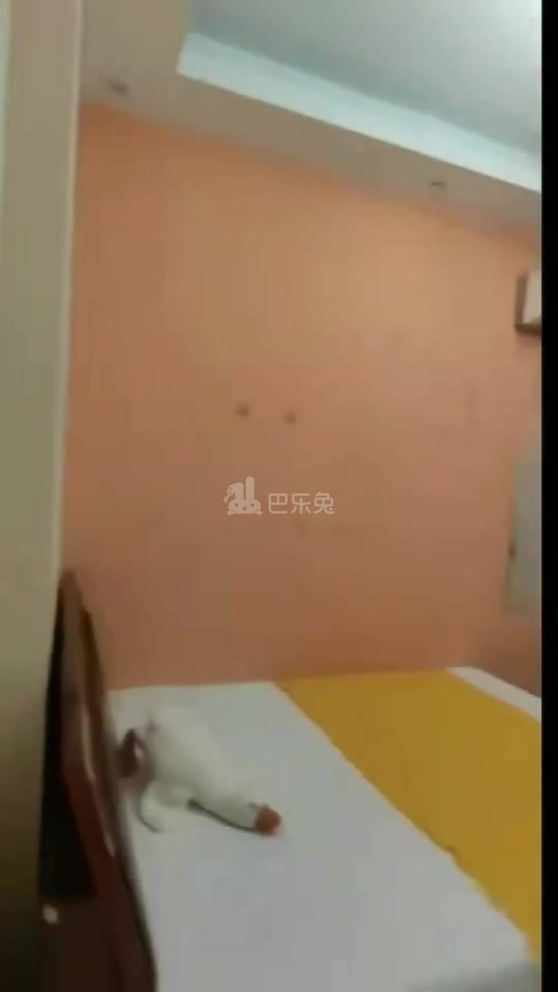 家联公寓东区18476727周边环境图0