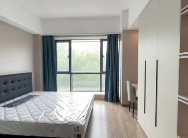 赞成星谷 1室1厅1卫