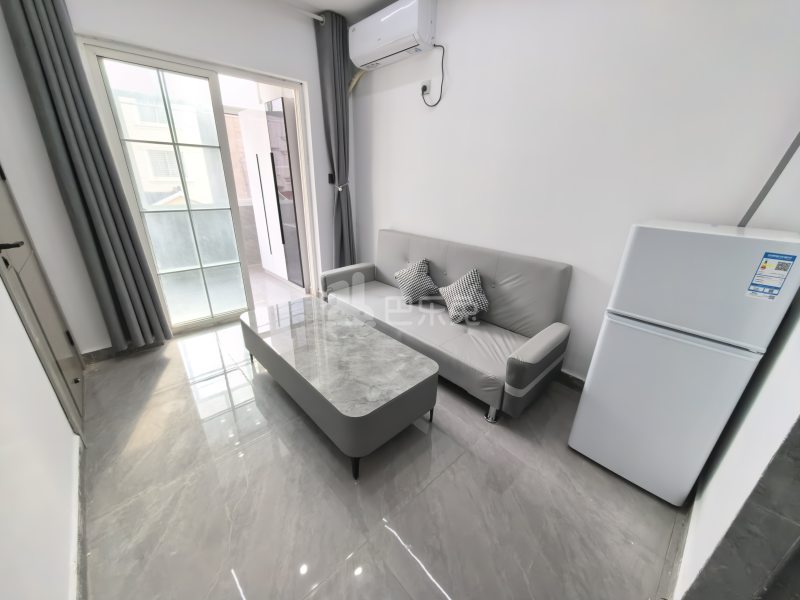 听潮南路415弄18479966客厅图5