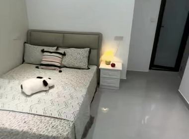 新中宇维萨（维萨新筑） 