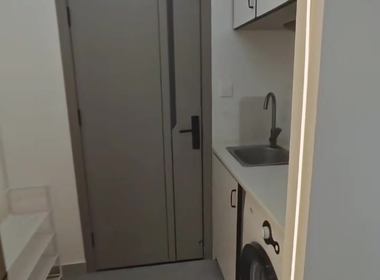 东新园东荷星苑 