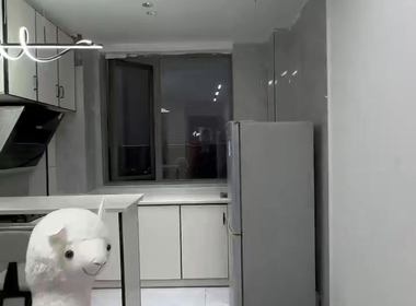 红街公寓（小区） 1室1厅1卫