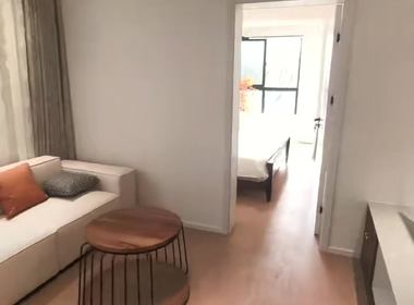 石泉春晓 1室0厅0卫