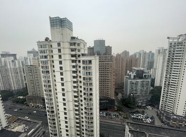 莱诗邸 2室1厅2卫