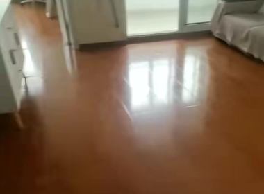 滨浦新苑一村 1室1厅1卫