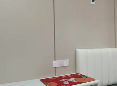 城中花园（城中街） 