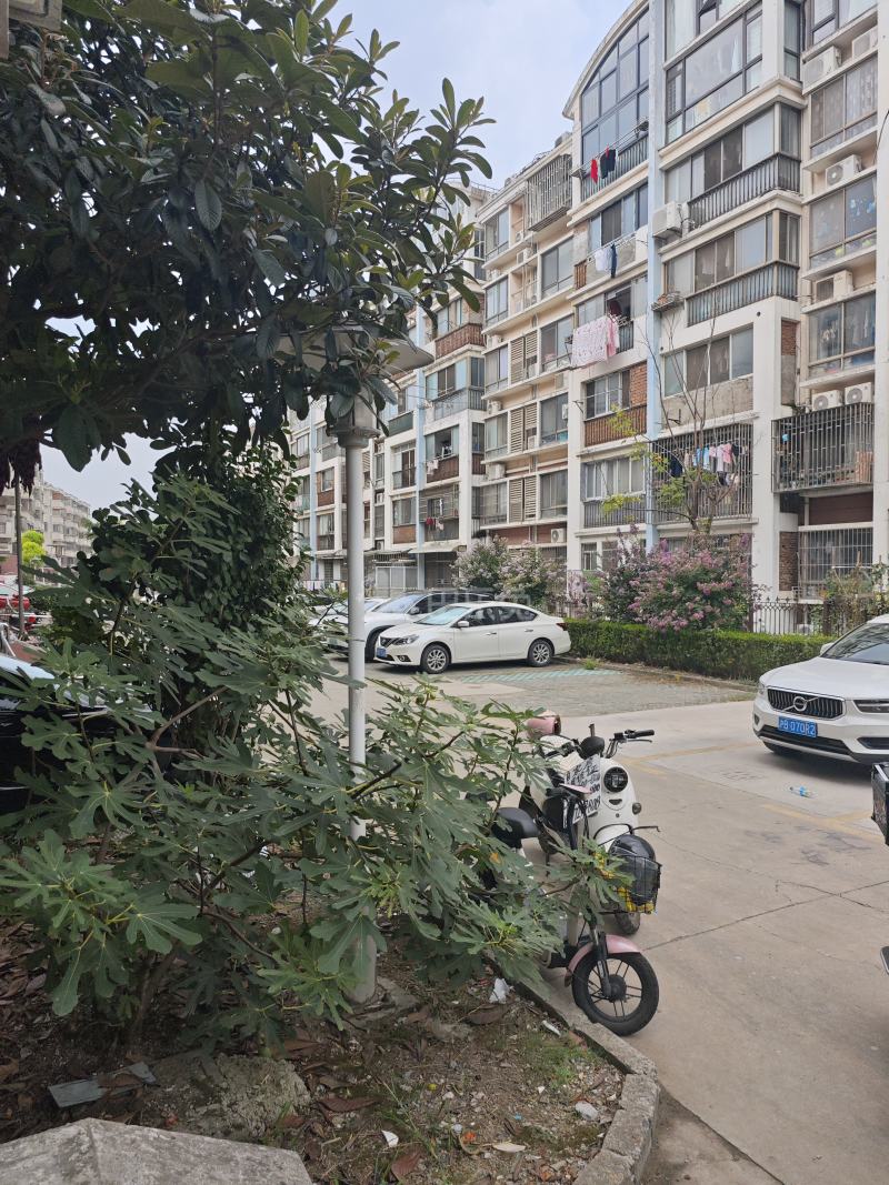 玉兰香苑二期A块9728085周边环境图8