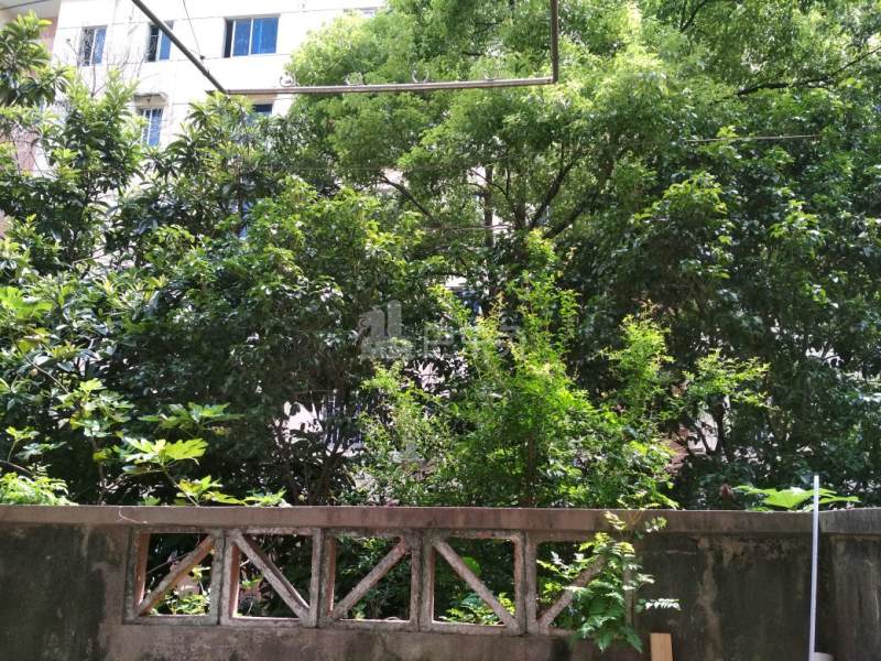 申波苑（芳华路580弄）2064797周边环境图12