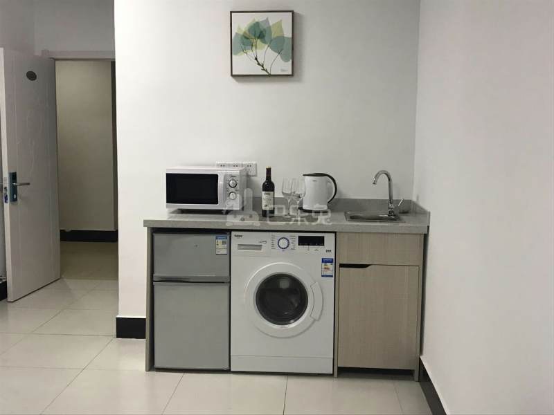 龙隐公寓（华纳科技园）2146281厨房图2