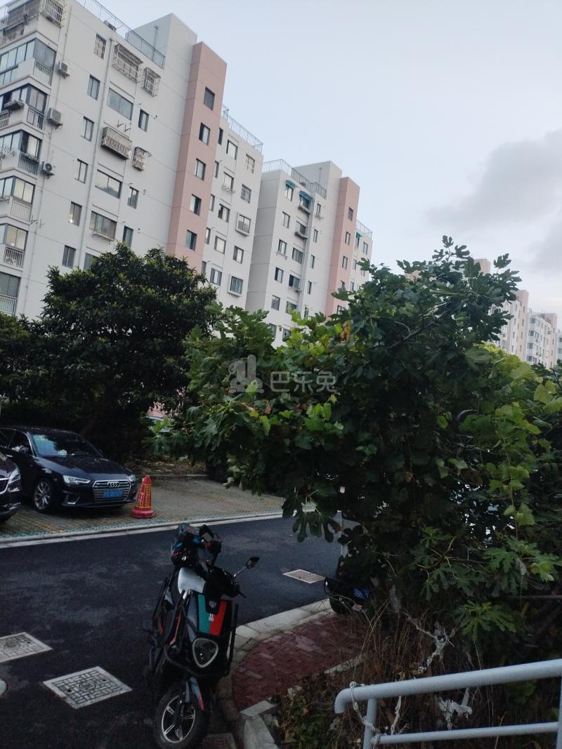 华泾绿苑2148606周边环境图18