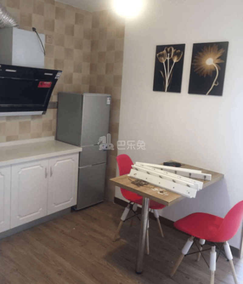 天润公寓2163356厨房图2