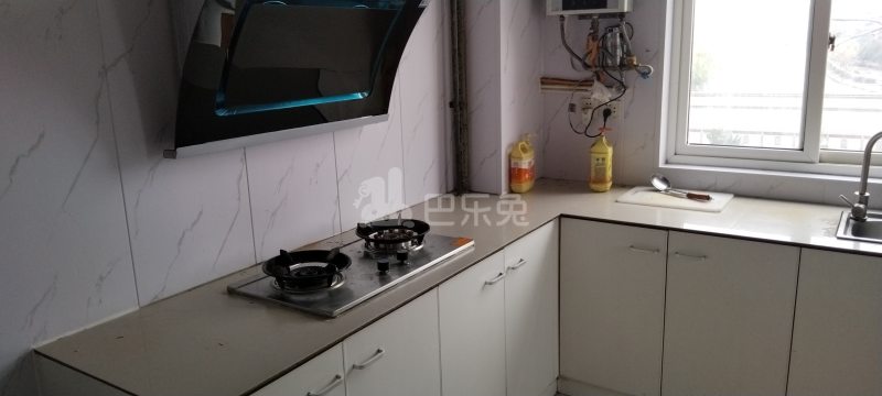 桃源新村（浦东）2169804厨房图5