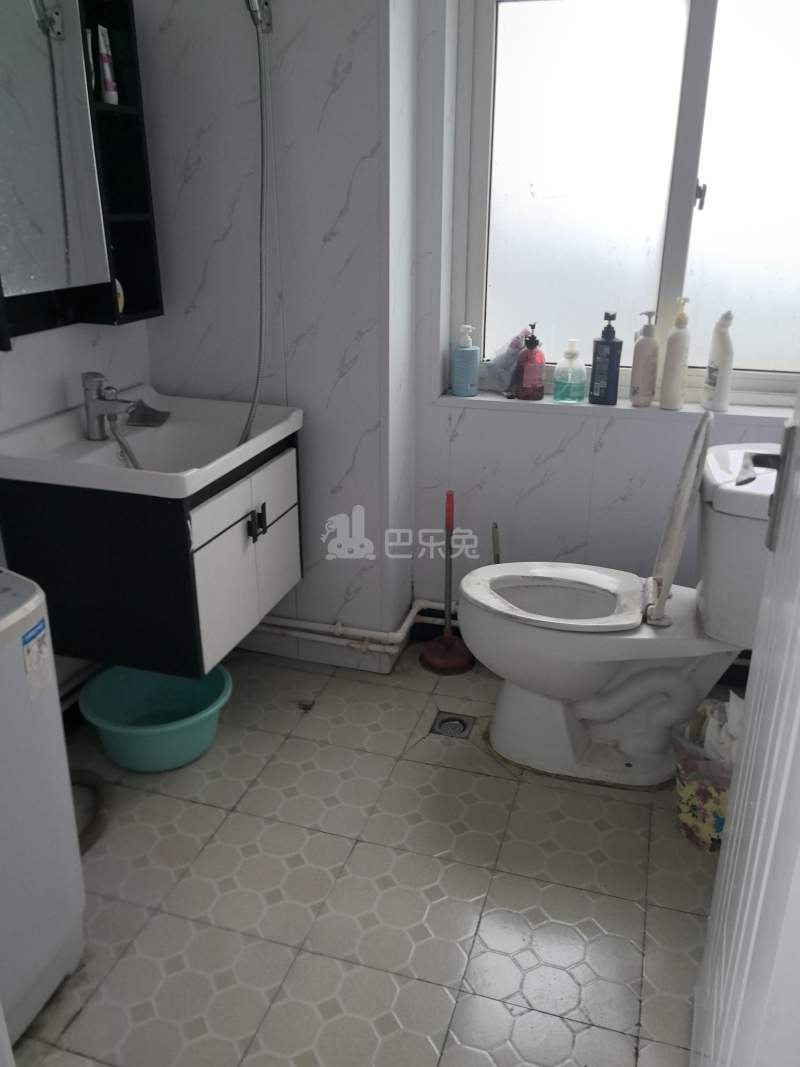 桃源新村（浦东）2169804卫生间图6