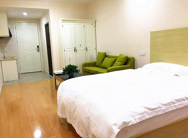 梵希智选公寓（东新路店） 1室0厅1卫