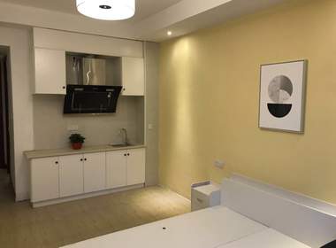 麦田公寓(滨文店) 1室1厅1卫