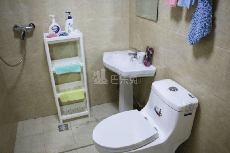丰巢公寓2287331卫生间图4