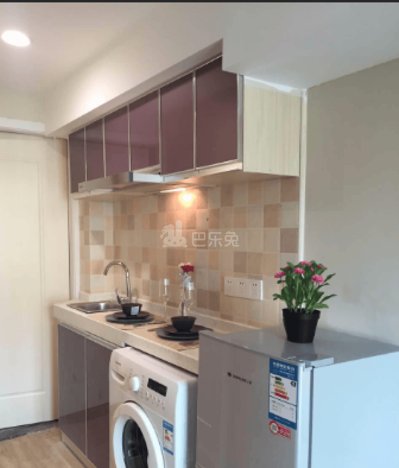 比邻公寓2294080厨房图4