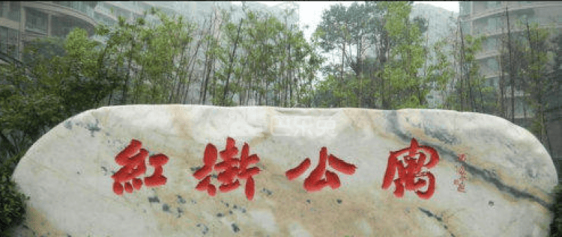 红街公寓（小区）18243901周边环境图1