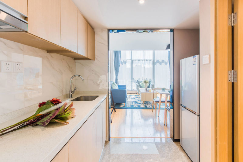 南之公寓（郎悦居店）2294423厨房图3