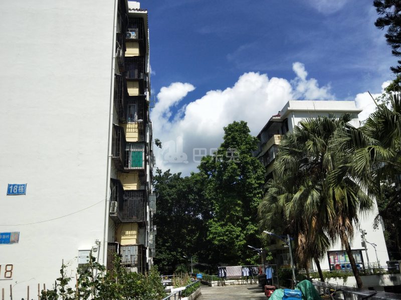 深圳福田_华新村_1室0厅0卫_合租朝南_红荔路3008号-深圳巴乐兔租房