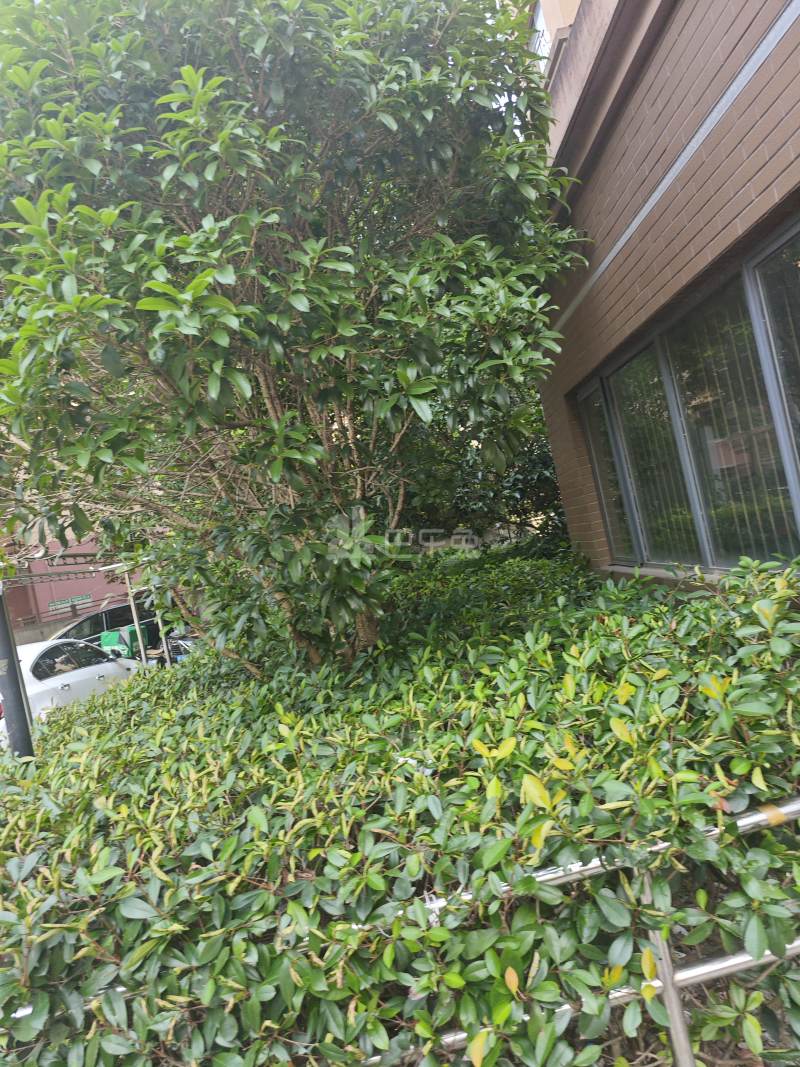 华绣路18弄小区2371628周边环境图17