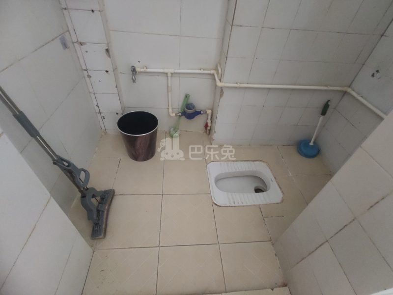 园丁楼2384893卫生间图9