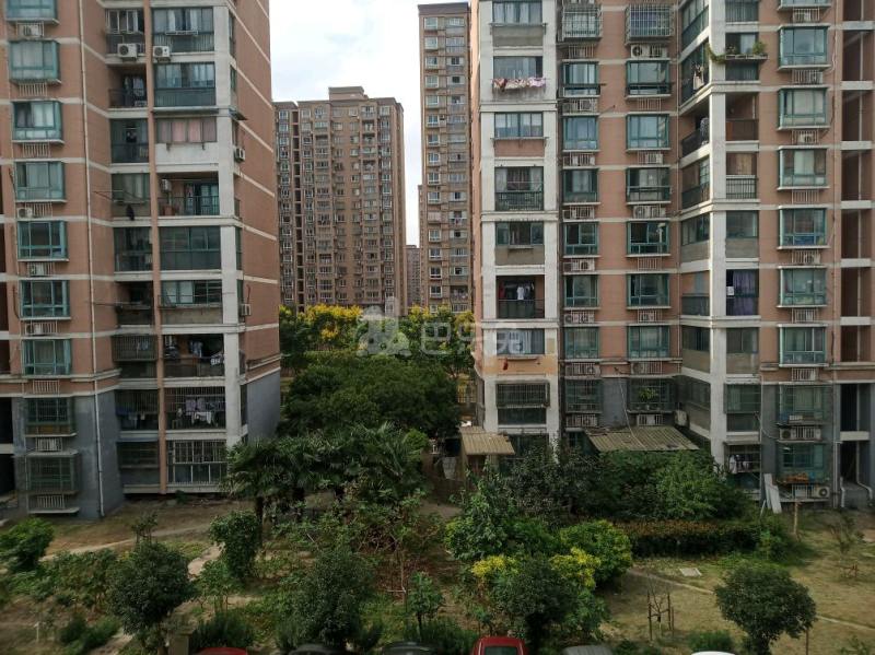 大黄馨园6757754周边环境图10