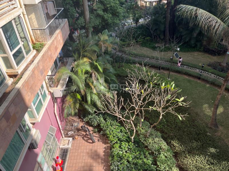 阳光棕榈园5815155周边环境图17